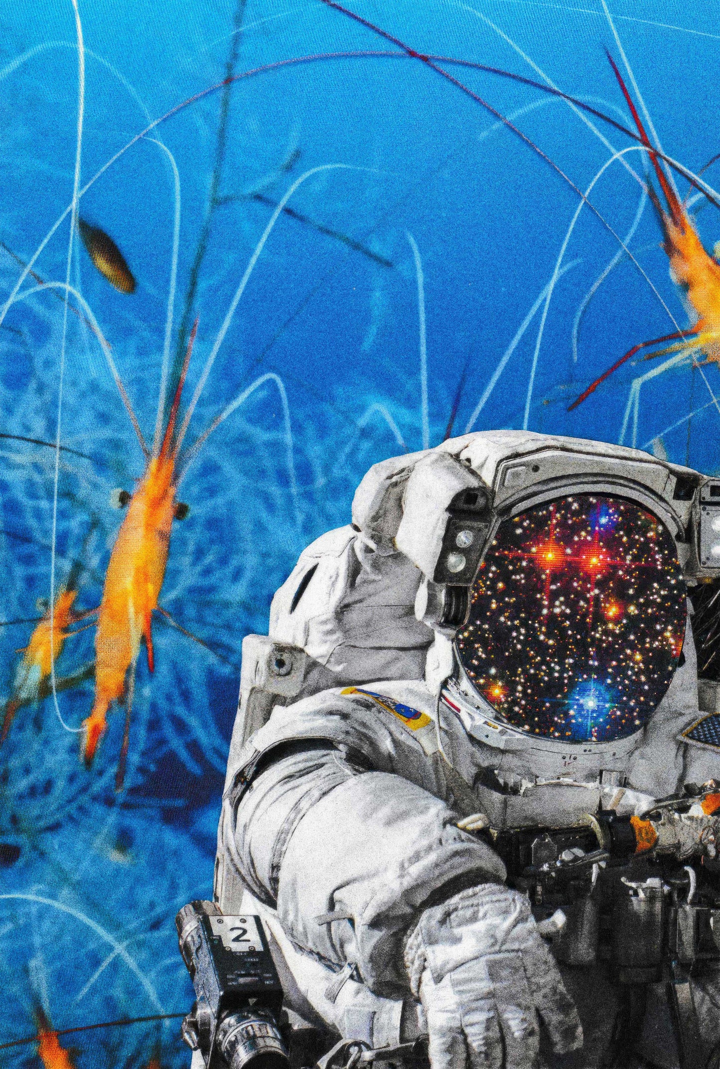 'Space Shrimp' Print | Artists Eyes Collage 15/15