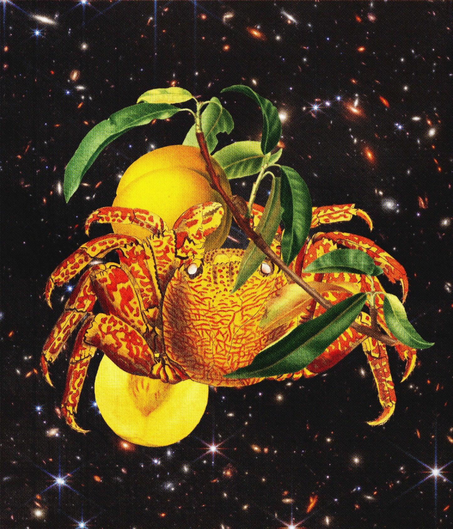 'Camera's In Space' Print | Artists Eyes collage 20/20