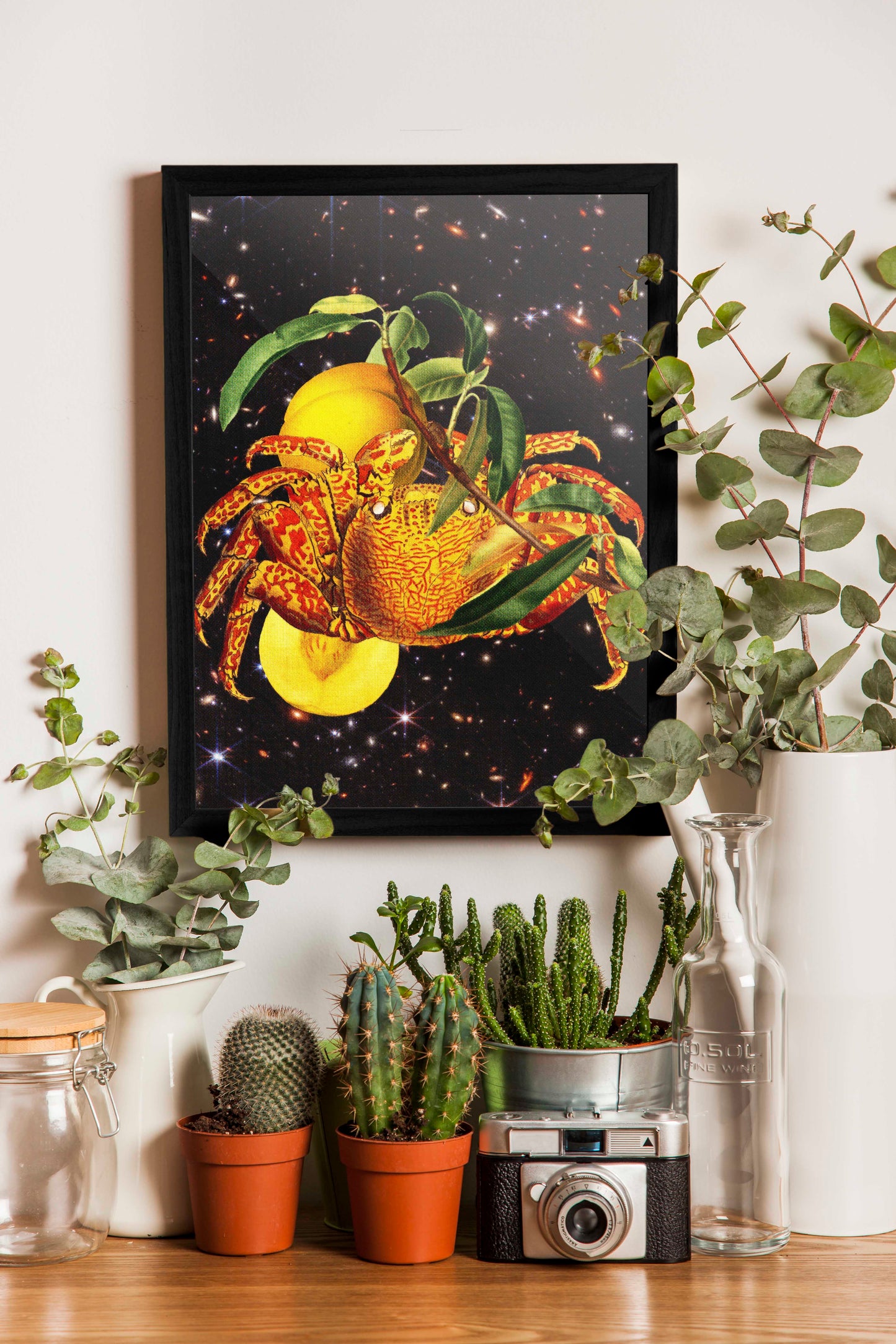 'Camera's In Space' Print | Artists Eyes collage 20/20